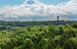 2 Stylish Condos w/ Views | Near SDC — Pool area